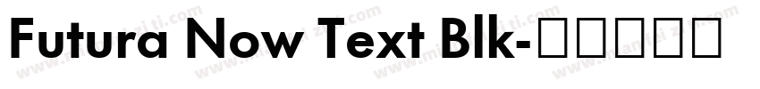 Futura Now Text Blk字体转换